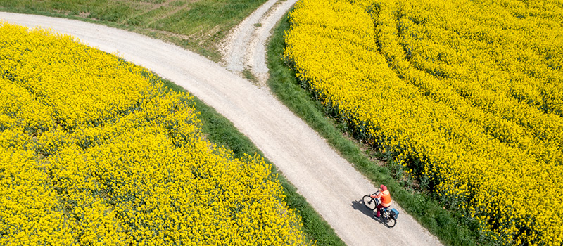 Bicyclist pausing at a crossroads