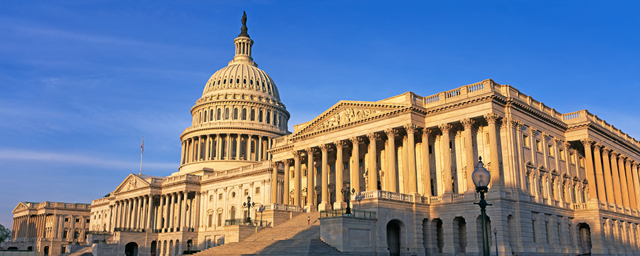 The U.S. Capitol Building in Washington, D.C.