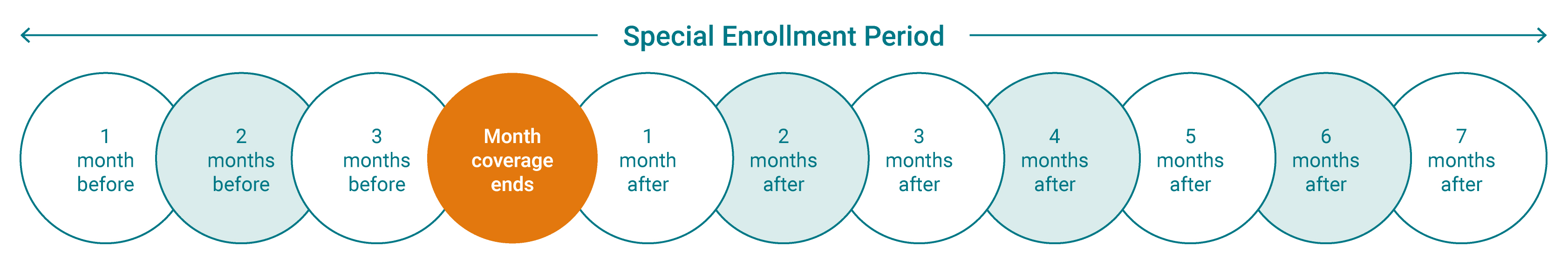 Special enrollment period timeline