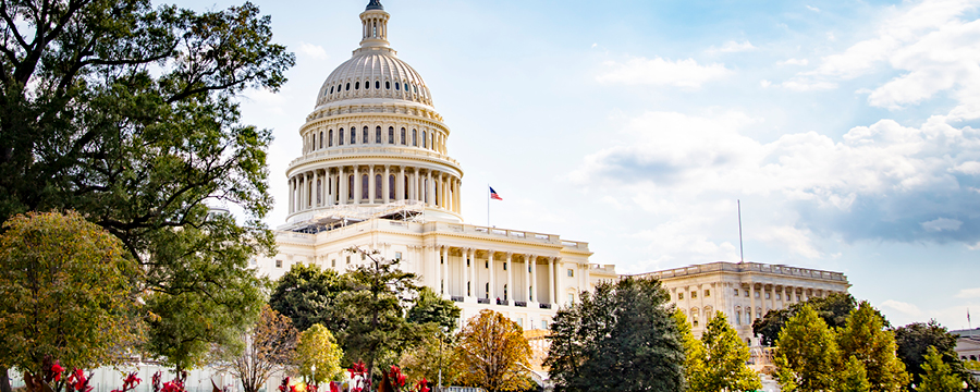 The U.S. Capitol Building in Washington, D.C.